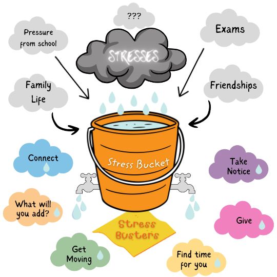 The Stress Bucket Managing Your Stress Student Life vrogue.co